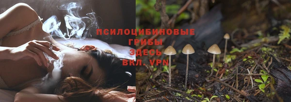 первитин Нея