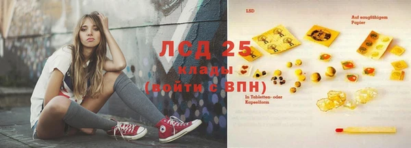 spice Надым