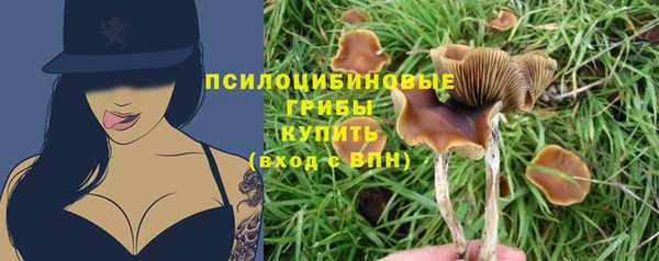 первитин Нея