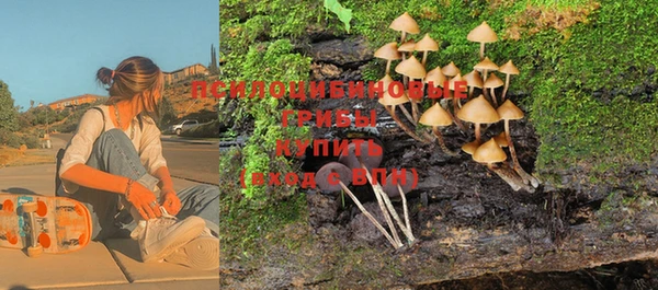 ГАЛЛЮЦИНОГЕННЫЕ ГРИБЫ Навашино