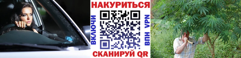 Шишки марихуана Amnesia кракен как войти Обоянь